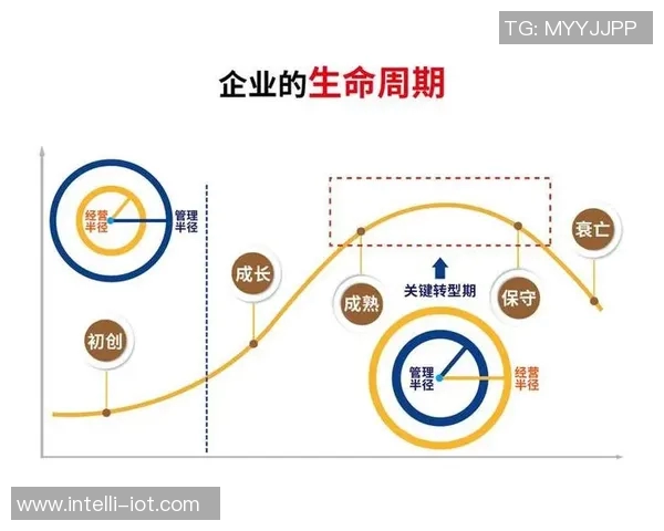 代怀博的成长之路与未来发展展望：从初创到行业领军的蜕变历程