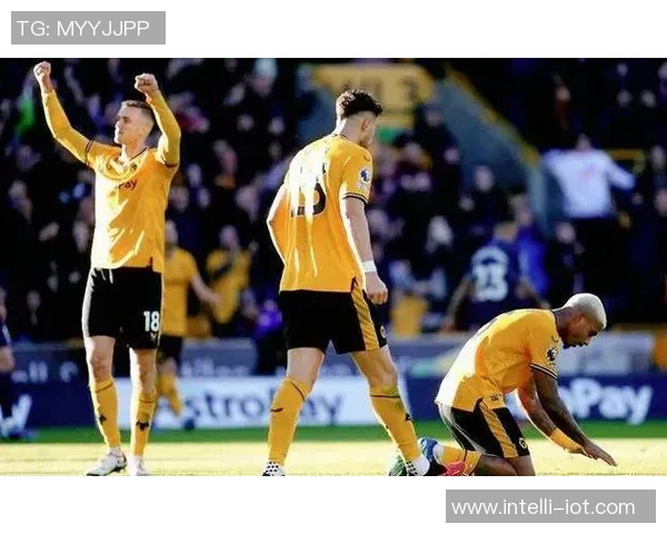 伯恩利与狼队对决数据分析揭示双方实力差距与战术特点